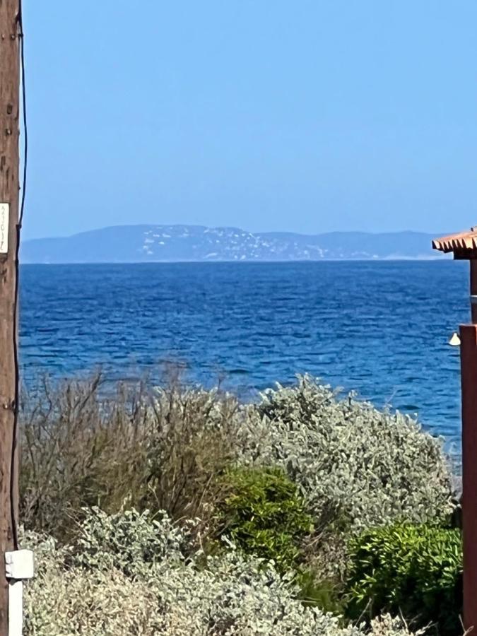 Plein Sud, bel appartement 20 mètres de la plage la Capte Hyères Esterno foto